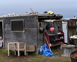 Child with dried fish at Cole's smoke house; Tuktoyaktuk, NT