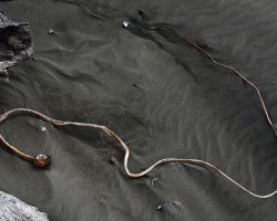 Pistol River Beach, Oregon