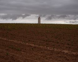 Bean field destroyed by drought and wheat elevator; Dove Creek, CO.