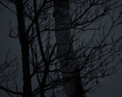 Goble Creek, Mavreeso Mesa; Dolores, CO