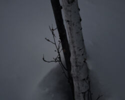 Goble Creek, Mavreeso Mesa; Dolores, CO