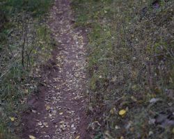 Rio Lado; near Dolores, CO