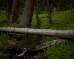 Tincup Basin; Dolores River, CO