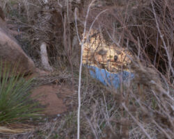 Dripping Spring Canyon, UT