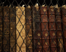 Museo de las Culturas de Oaxaca