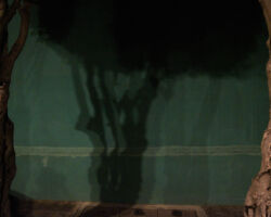 Calle Andrés Quintana Roo, Oaxaca