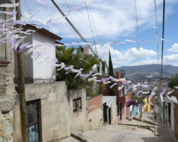 Niño Artillero, Oaxaca
