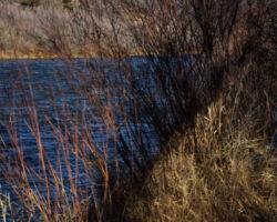 Rio Grande River near Velarde, NM