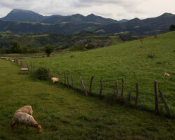 Looking back to the south at Flysch Begiratokia-Baratzazarrak