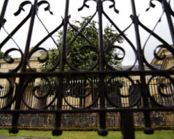 Gernikako Arbola - the current Tree of Gernika, symbol of Basque culture and political nationalism