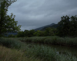 Solemn estuary near Gernika