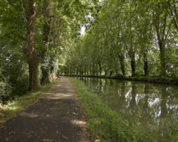 Optimal bike path along the Canal Garrone