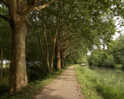 Hours and hours of this perfect day...