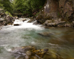 Gave de Brousset, a beautiful stream