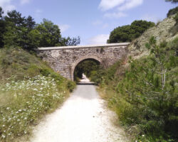 Bike path out of Pamplona