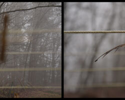 North Springfield, VT